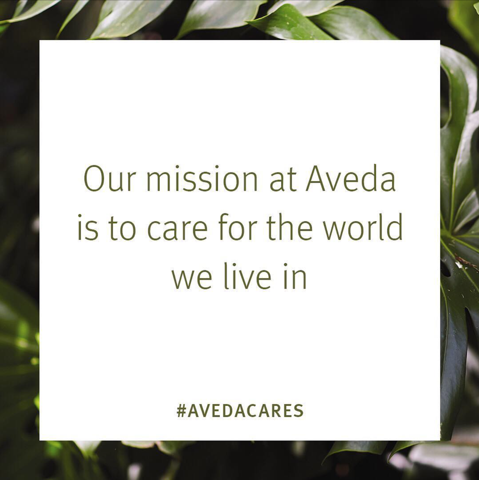 Aveda-mission